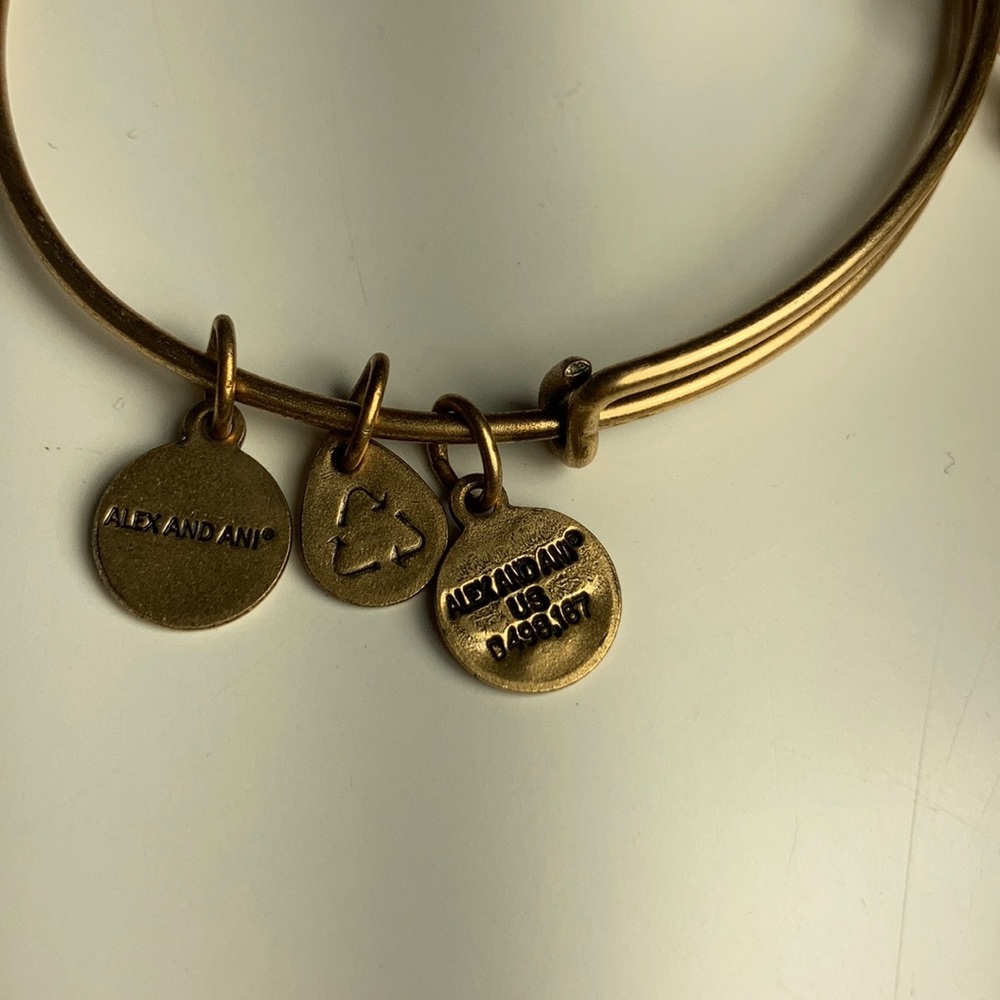 Alex and Ani Unbreakable Love Charm Bangle - Picture 6 of 9